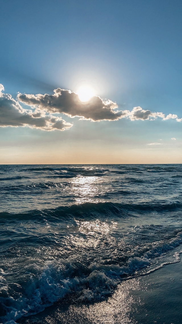 海洋